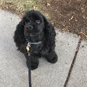 Meet your Posher, Meredith